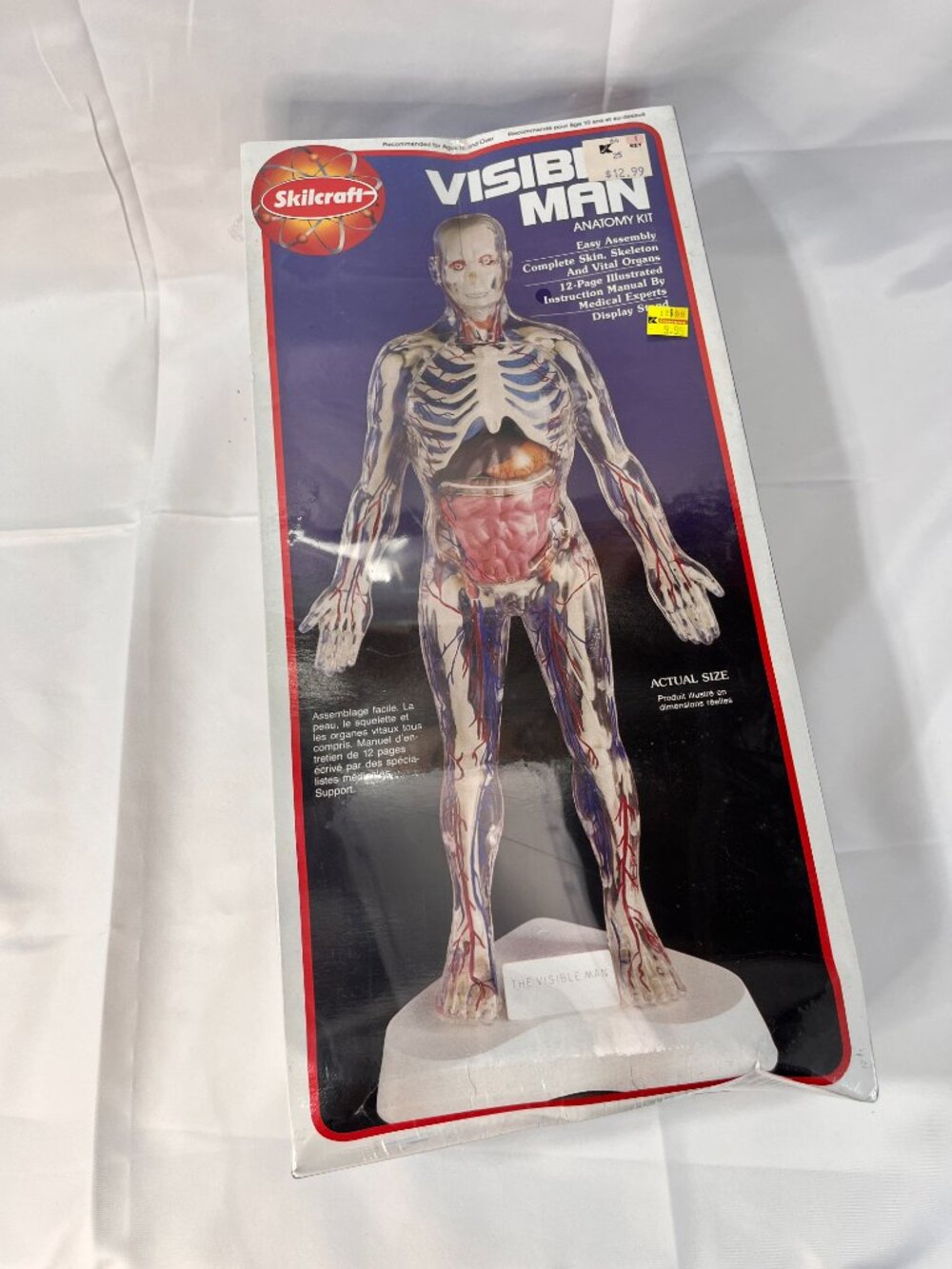 Vintage 1994 Skilcraft VISIBLE MAN Educational Anatomy Model Kit 14" #74622